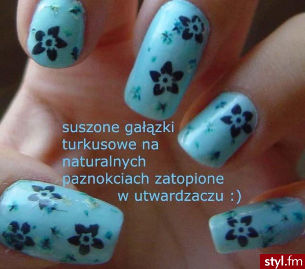suszone gałązki ecru-turkus, szablon ST20 i podkład wibo. po 12 dniach :) - Paznokcie