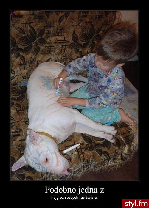 He HE ;) - Misz-masz