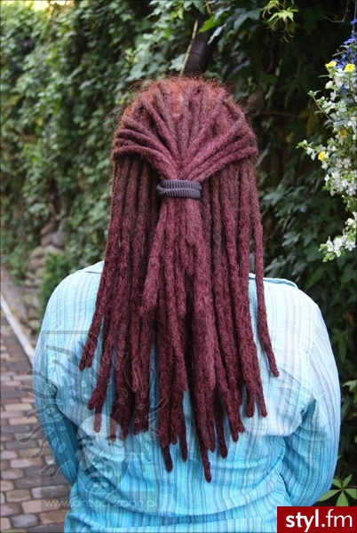 Dready http://www.dread-zone.pl - Dredy Alternatywne Średnie Fryzury