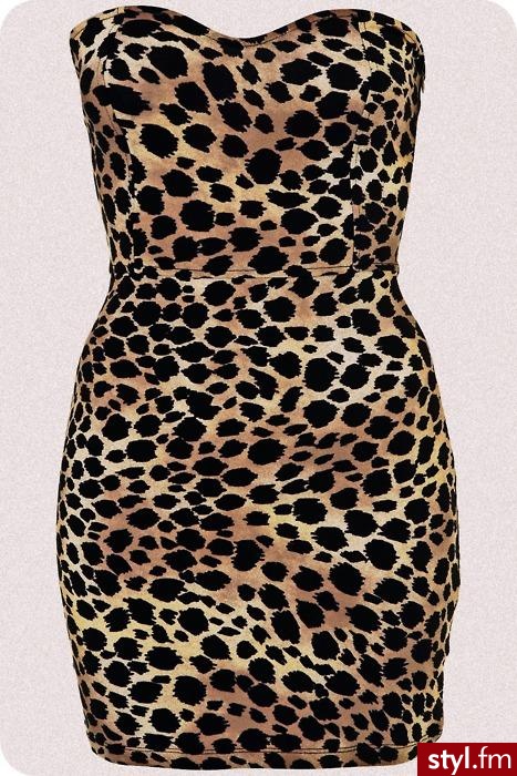 Sukienki Moda