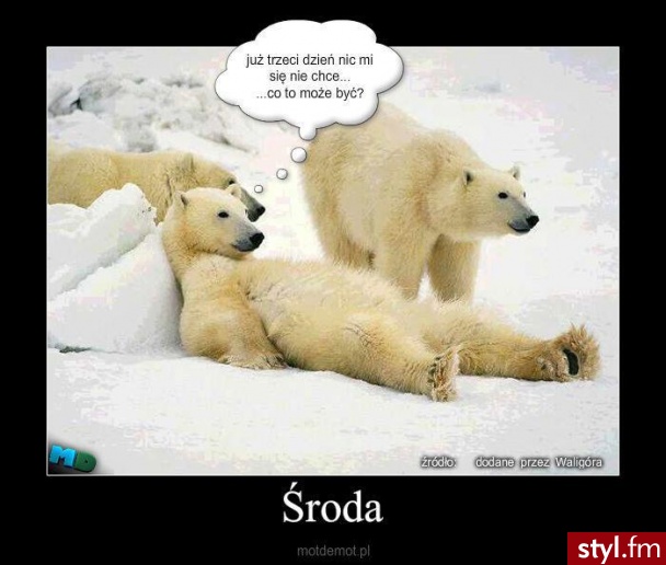 Humor