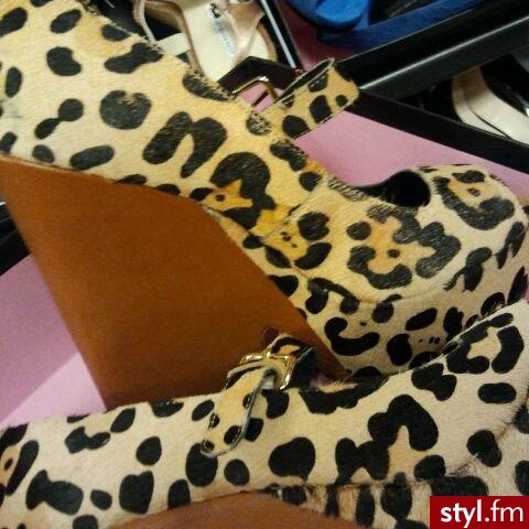 Koturny Buty Moda