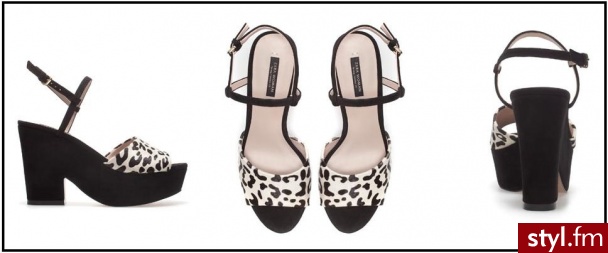 Koturny Buty Moda