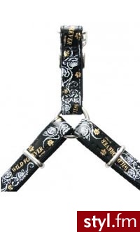 Zolux (466225No) Szelki Envy Rozmiar 45-56Cm/41-54Cm/15Mm - Czar - Psy Zwierzaki