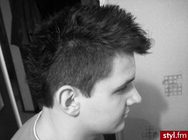 Punk Rock Alternatywne Średnie Fryzury