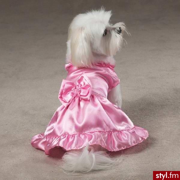 znalezione w necie jak cos pisać :) - Dekoracje ślubne Ślub Moda