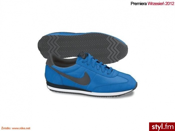 Nike MĘSKIE BUTY LIFESTYLE OCEANIA 476920.400 Odcienie niebieskiego Sportowe - Sportowe Buty Moda