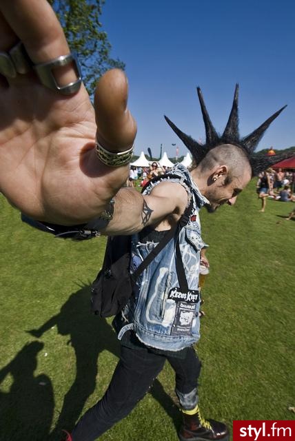 Punk Rock Alternatywne Średnie Fryzury