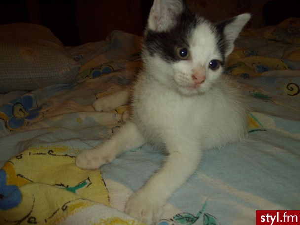 Axelka ^^ - Misz-masz
