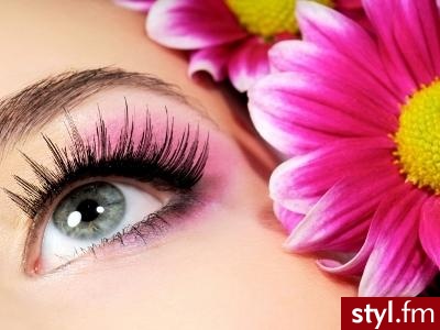 Zdjęcie dodane do bazy zdjęć Stylera - Styler