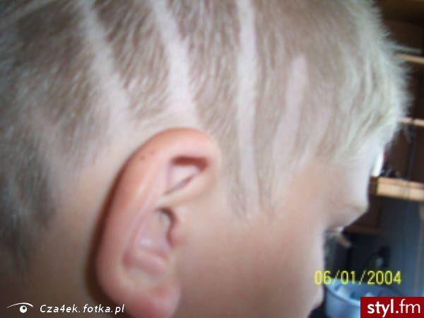 Punk Rock Alternatywne Średnie Fryzury