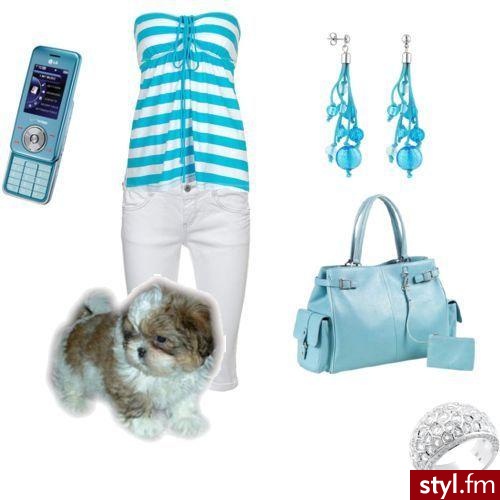Styler