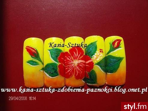 Paznokcie