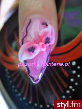 Paznokcie