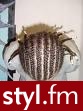 z neta - Dredy Alternatywne Średnie Fryzury