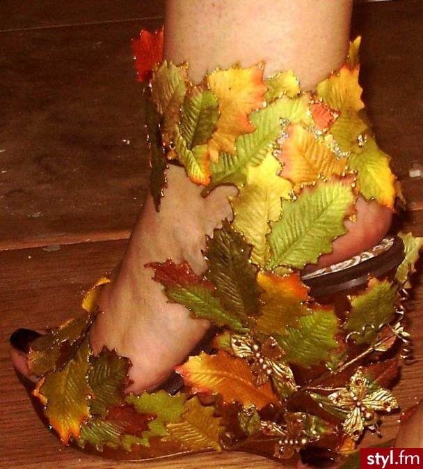 Koturny Buty Moda