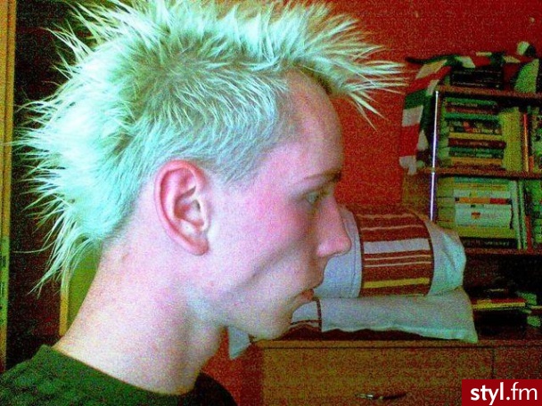 Punk Rock Alternatywne Średnie Fryzury