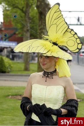 Jesli zdjęcie znajduje sie w galerii proszę pisać na priv ...
Trochę śmieszny ten kapelusz ;) - Nakrycia głowy Dodatki Moda
