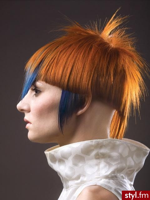 Punk Rock Alternatywne Średnie Fryzury