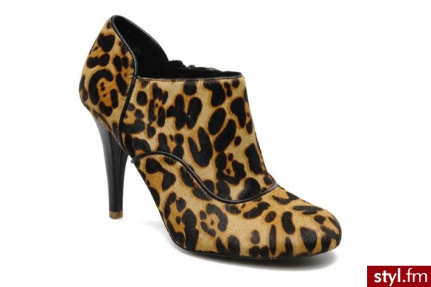 Rockport PÓŁBUTY I BOTKI PRESIA ZIP SHOOTIE BY ROCKPORT (Brązowy) - Botki Buty Moda