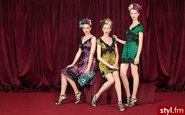 Lookbook Dolce&Gabbana – jesień/zima 2010. Lookbook Dolce&Gabbana – jesień/zima 2010 - Pozostałe Ciuchy Moda
