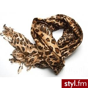 Zdjęcie dodane do bazy zdjęć Stylera - Styler