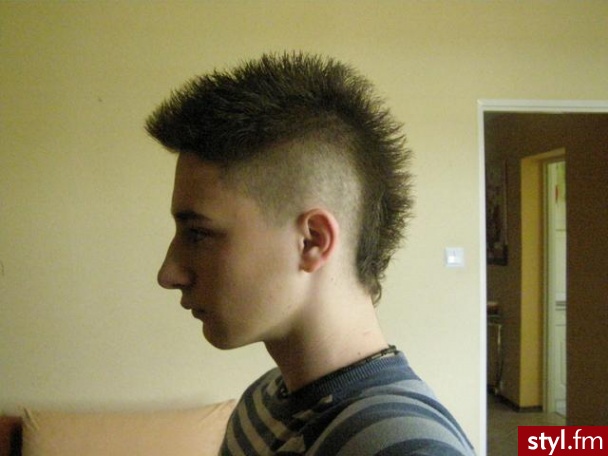 Punk Rock Alternatywne Średnie Fryzury