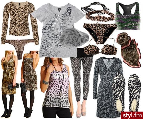 Styler