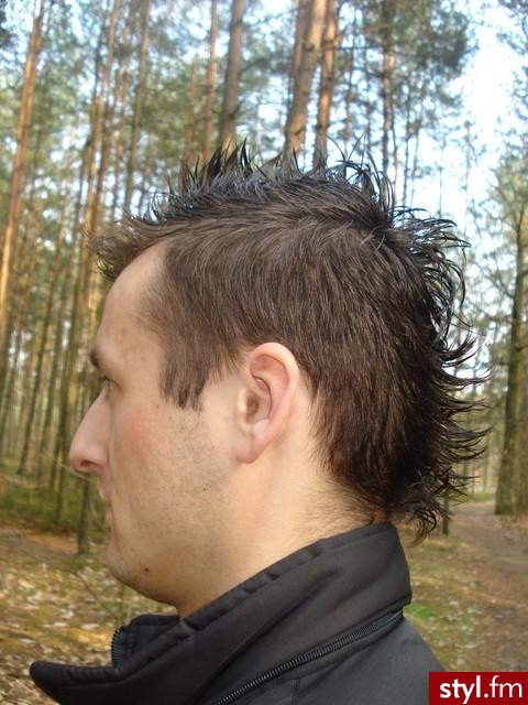 Punk Rock Alternatywne Średnie Fryzury