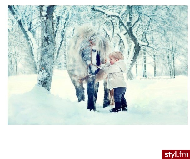                                                                               - Styler
