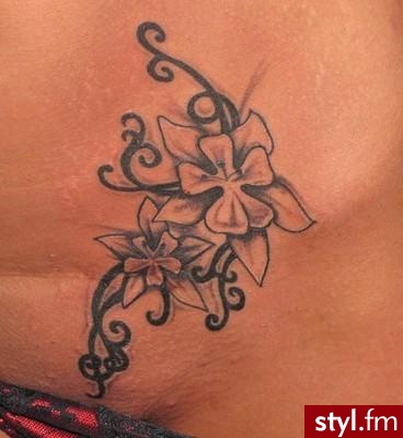 Misz-masz