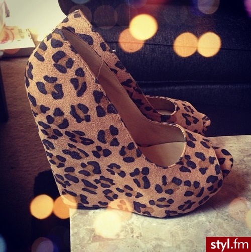 Koturny Buty Moda