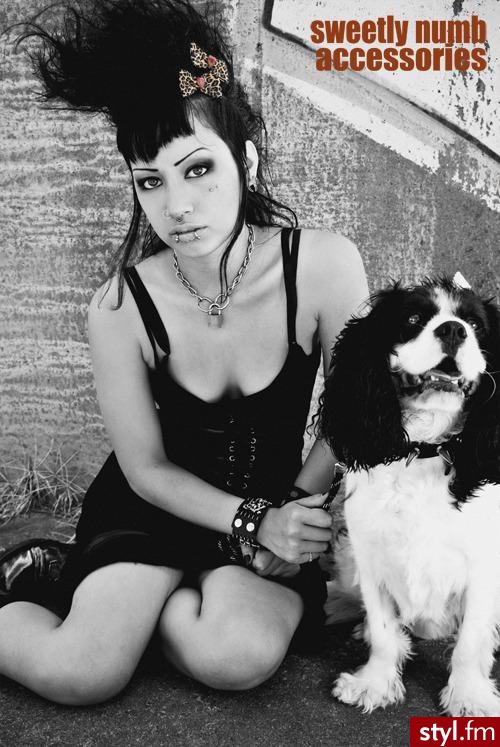 Punk Rock Alternatywne Średnie Fryzury