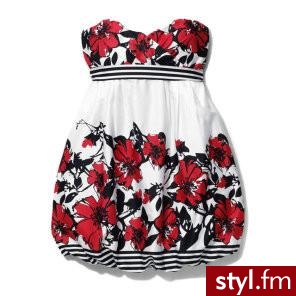 Zdjęcie dodane do bazy zdjęć Stylera - Styler