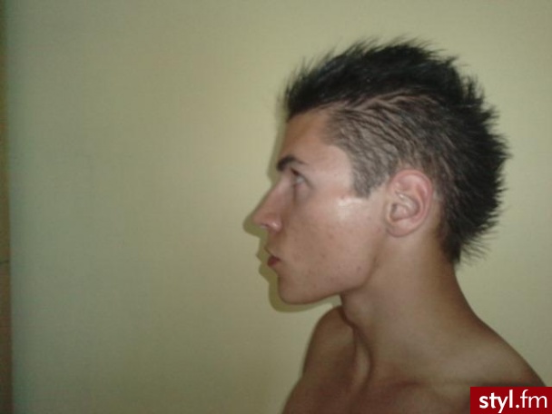 Punk Rock Alternatywne Średnie Fryzury