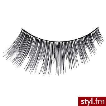 Zdjęcie dodane do bazy zdjęć Stylera - Styler