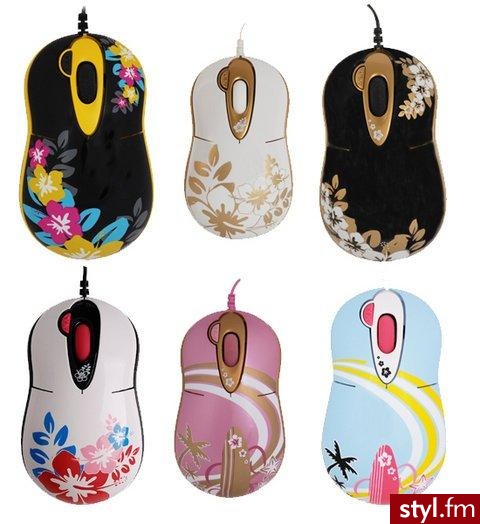 Gadżety Inne Moda