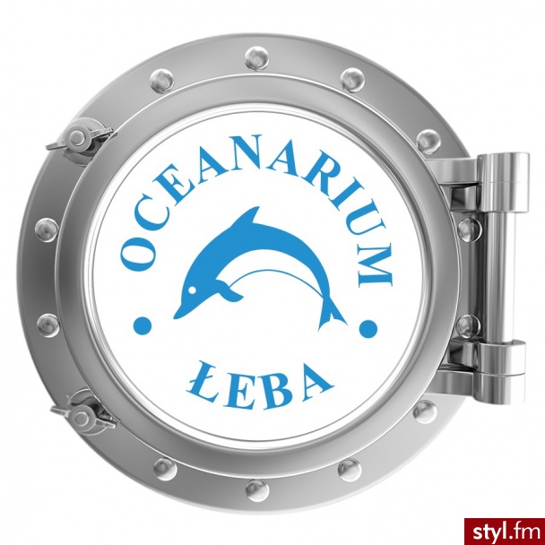 Zapraszamy do nowo otwartego Hotelu w Łebie tel 504 075018 www.oceanariumleba.pl  - Podróże i miejsca