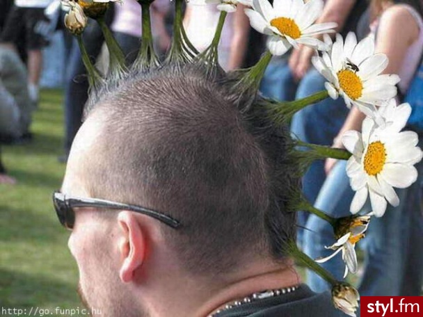 Punk Rock Alternatywne Średnie Fryzury