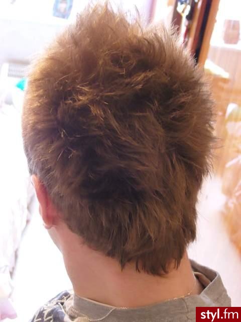 Punk Rock Alternatywne Średnie Fryzury