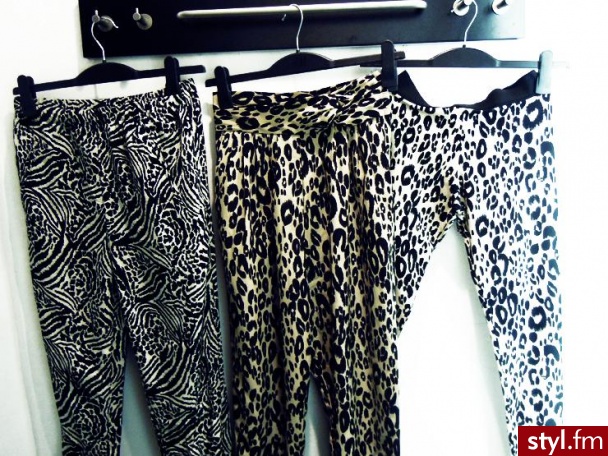 Pozostałe Ciuchy Moda