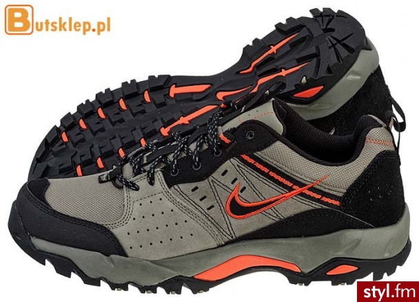 Buty Nike Salbolier (380585-301) Sportowe Odcienie beżu i brązu - Sportowe Buty Moda