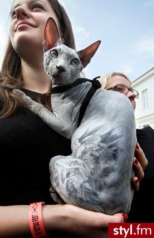 sfinksy. Kocham <3 - Tatuaże