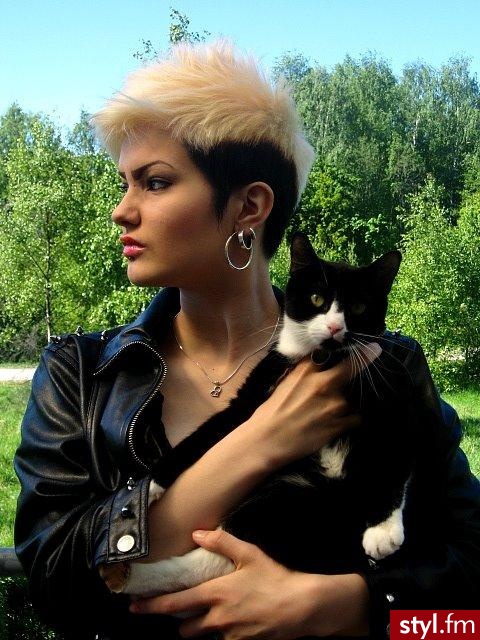 Blond Rozpuszczone Proste Na co dzień Krótkie Fryzury