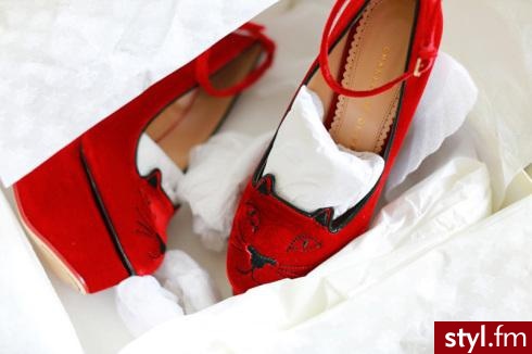 Koturny Buty Moda