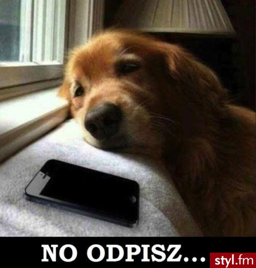 Humor