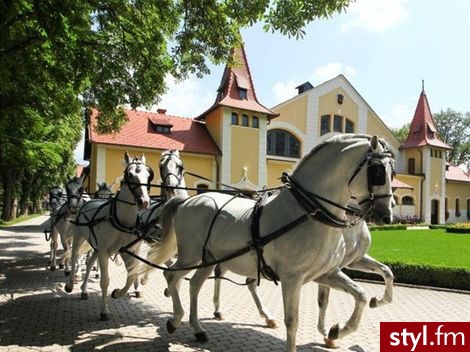 Dekoracje ślubne Ślub Moda