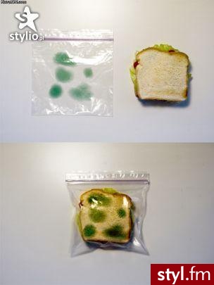 anti theft bag
sprytne :p - Misz-masz