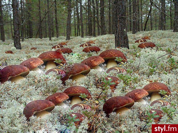 Podróże i miejsca