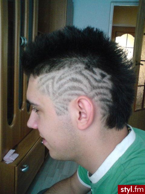 Punk Rock Alternatywne Średnie Fryzury
